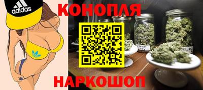 соль ск Будённовск