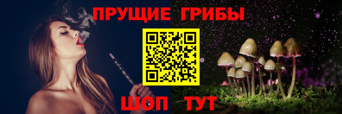 Псилоцибиновые грибы Psilocybine cubensis  Вход с VPN  Углич 
