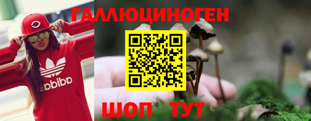 Псилоцибиновые грибы ЛСД Углич